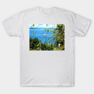 Vashon Ferry on Puget Sound T-Shirt